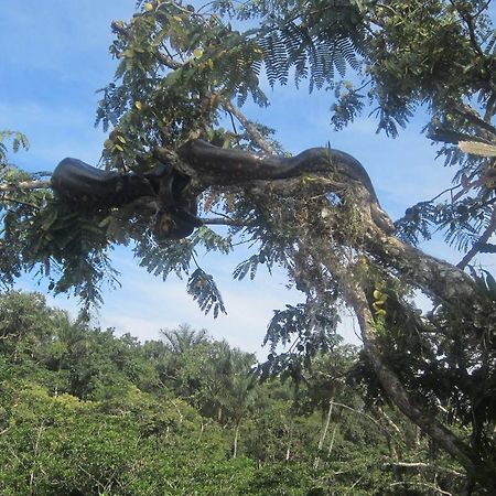 Jamu Lodge Puerto Montufar Eksteriør billede